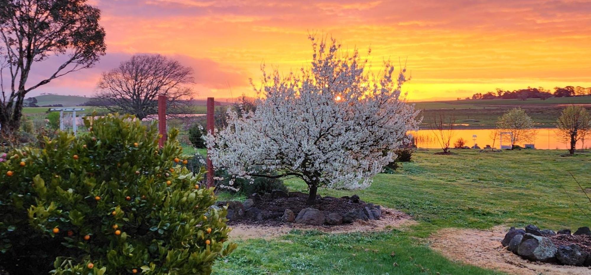 New Horizons Farm Stay Smeaton Eksteriør billede